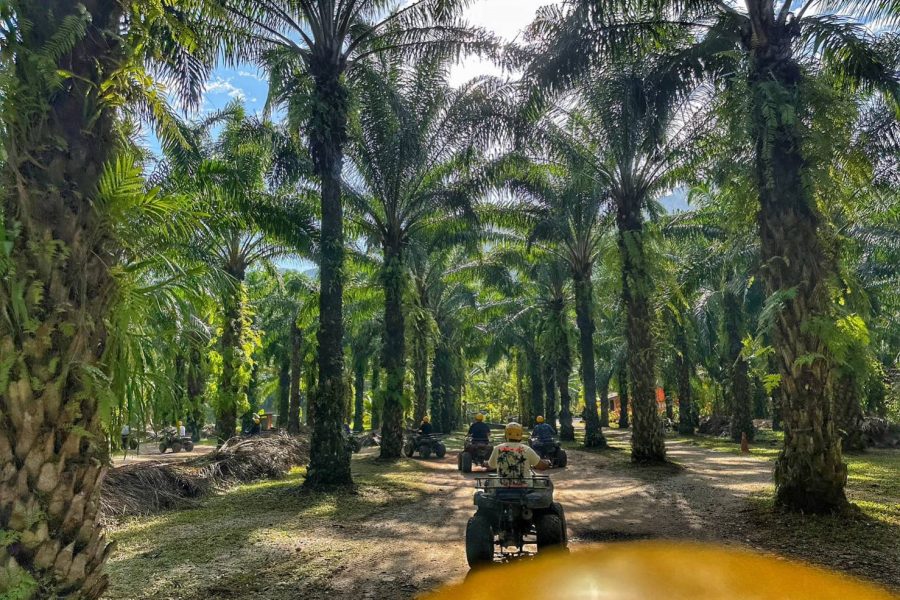 Program 6: Thrilling Whitewater Rafting & ATV Adventure