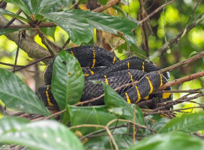 Program 1: The Little Amazon – Adventure Through Nature and Culture